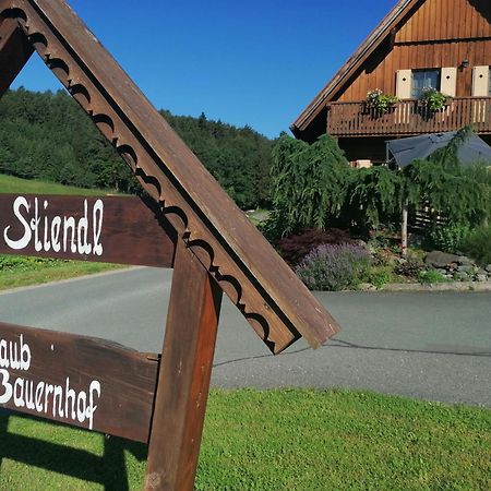 Vila Am Jaukhof Familie Stiendl Neudorf im Sausal Exteriér fotografie