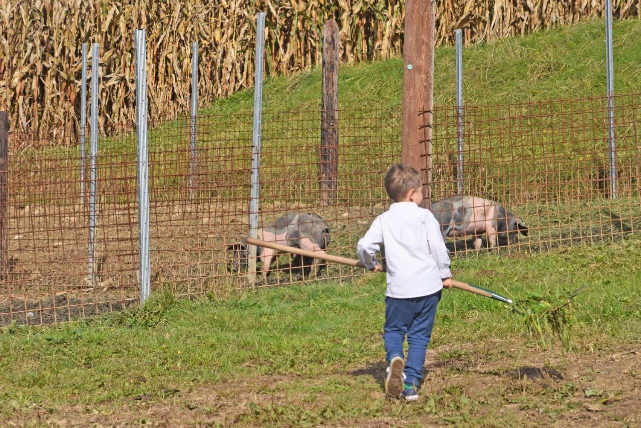 Vila Am Jaukhof Familie Stiendl Neudorf im Sausal Exteriér fotografie