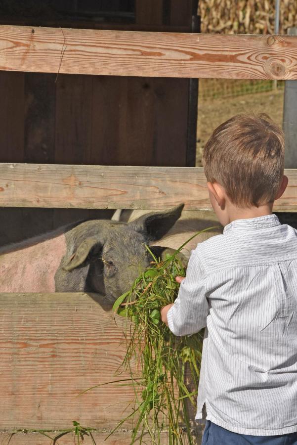 Vila Am Jaukhof Familie Stiendl Neudorf im Sausal Exteriér fotografie