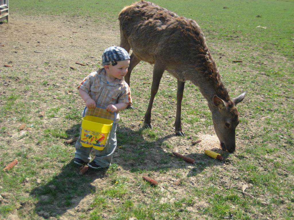 Vila Am Jaukhof Familie Stiendl Neudorf im Sausal Exteriér fotografie